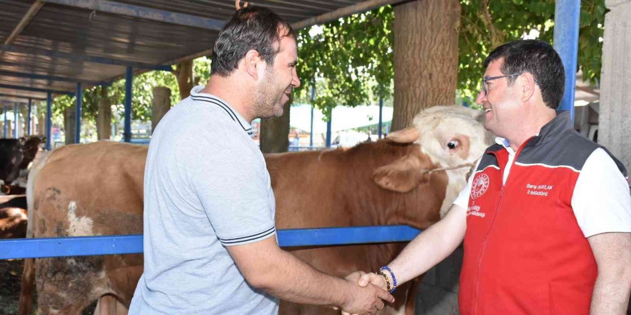 Hayvan satış ve kesim yerleri  bayrama hazır