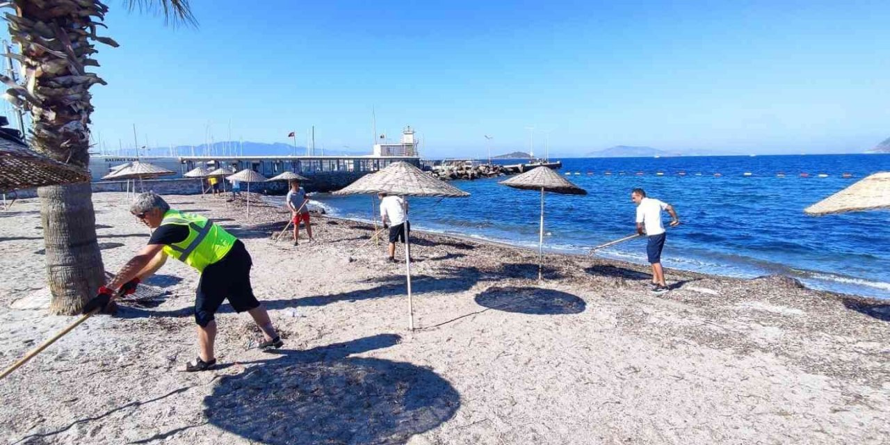 Halk plajlarında bakım ve tamirat çalışmaları başlatıldı