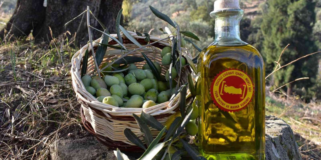 Zeytinyağı ihracatçıları “çifte bayram” yaşadı