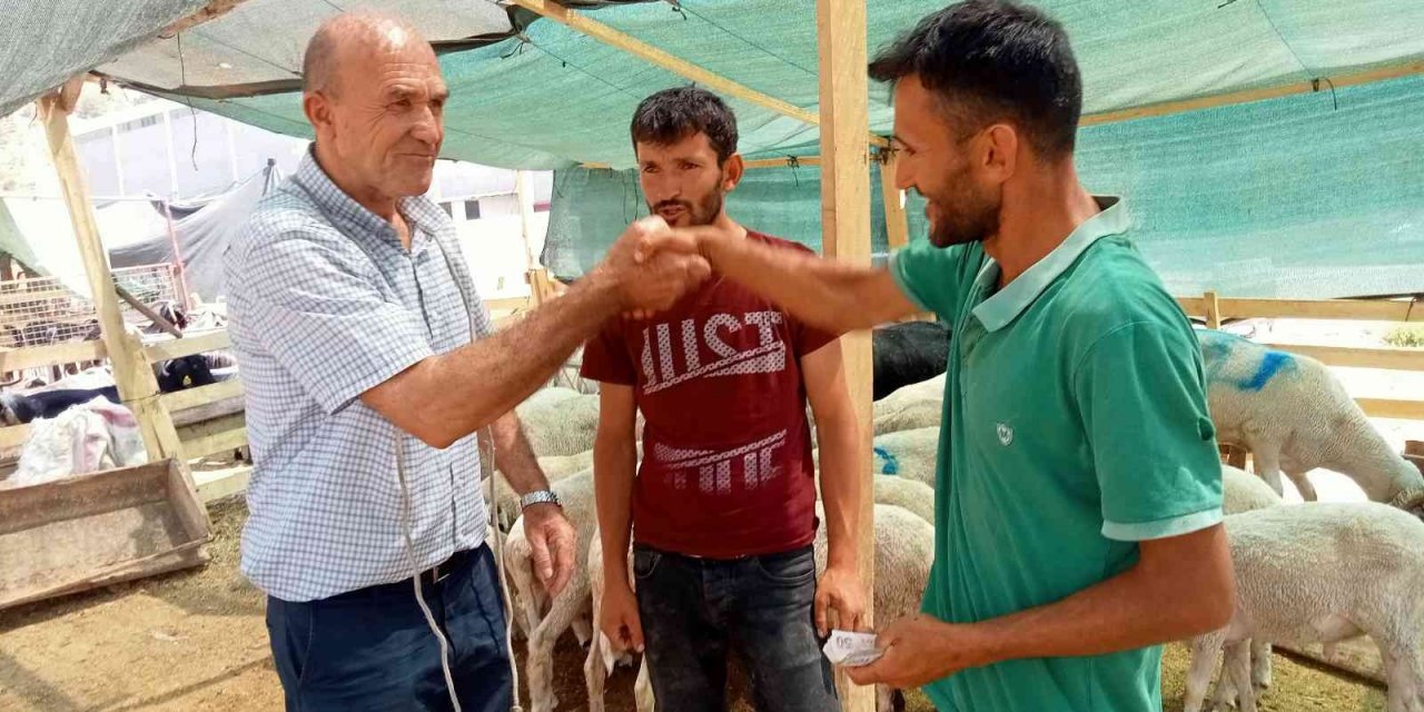 İzmir’de kurbanlık fiyatları bayram günü düştü