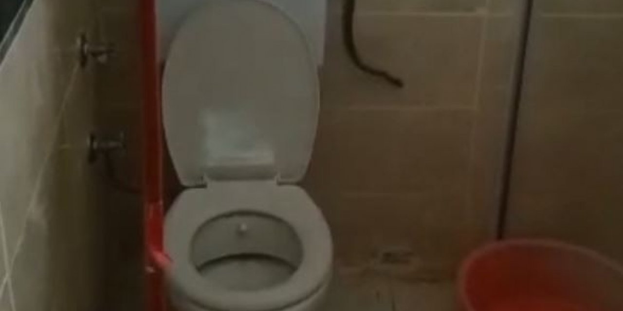 Yüzünü yıkamak istedi, banyosunda yılanla karşılaştı