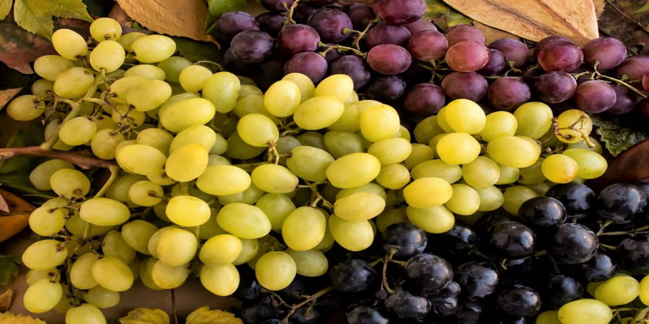 Üzümün faydaları nelerdir?