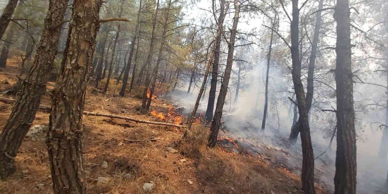 Muğla Valiliğinden Datça’daki orman yangını ile ilgili açıklama