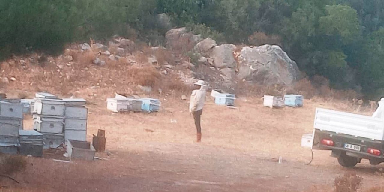 Muğla İl Tarım ve Orman Müdürlüğü yangın bölgesinde