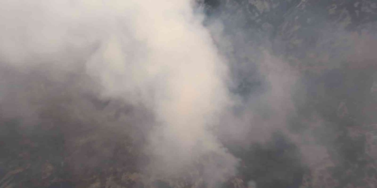 Datça’da günün ilk ışıkları ile birlikte orman yangınına havadan müdahale yeniden başladı