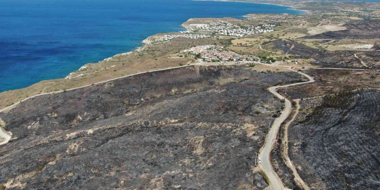 Çeşme yangını kontrol altında