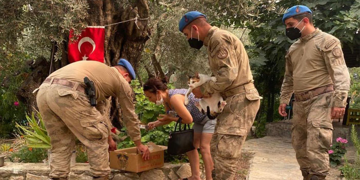 Jandarma ekipleri seferber oldu