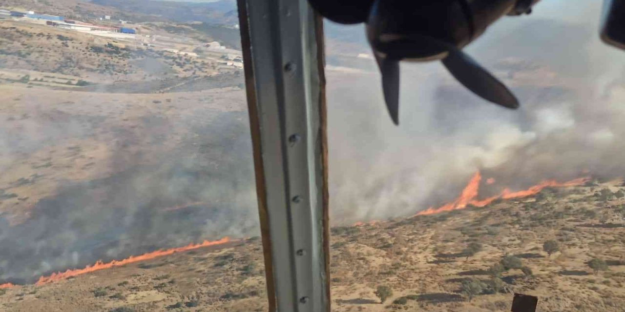 Aliağa’da otluk alanda yangın