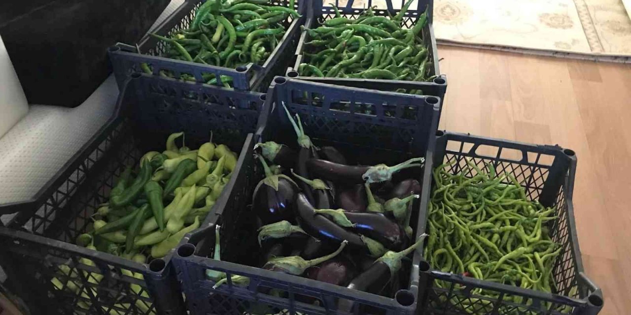 Aydın’da vatandaşları kurutmalık telaşı sardı