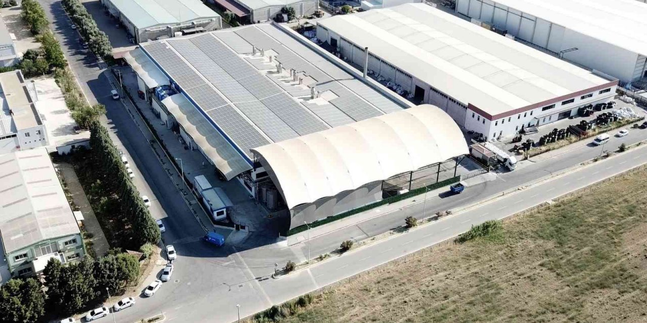 Gürsüt, sektörde küresel oyuncu olmayı hedefliyor