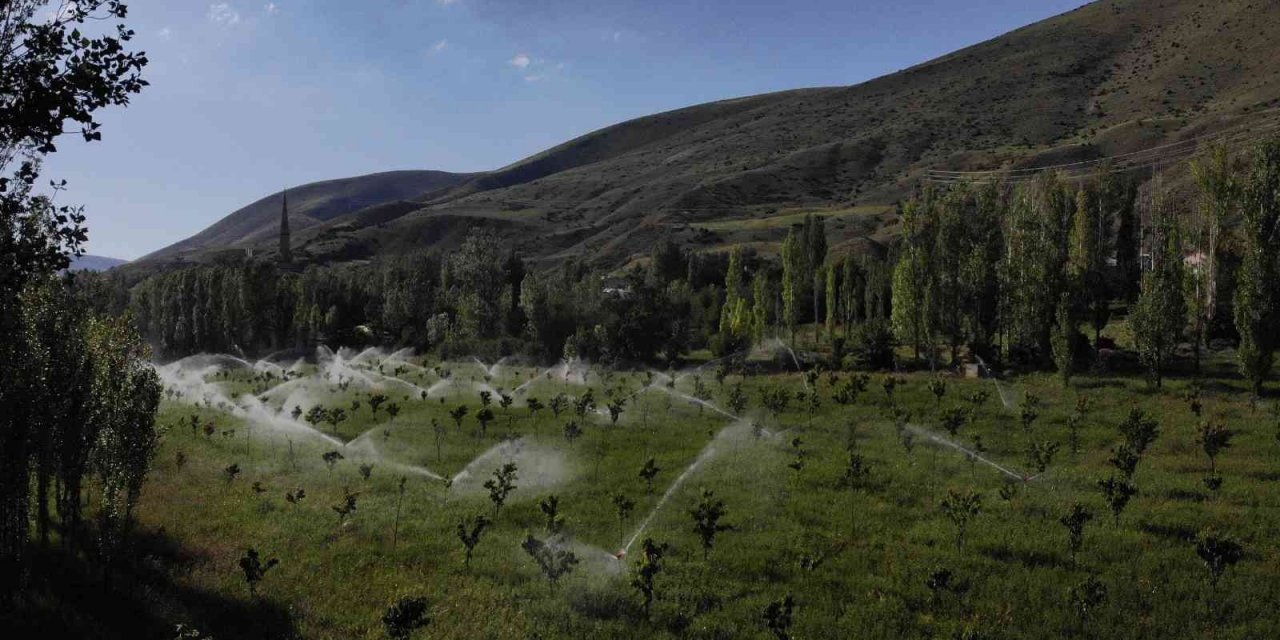 İlçe Tarım Müdürlüğü’nden “Gece sulaması” uyarısı