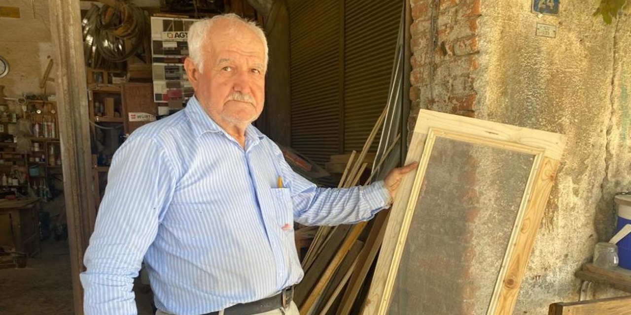 Artan sinek popülasyonuna sadece onlar seviniyor