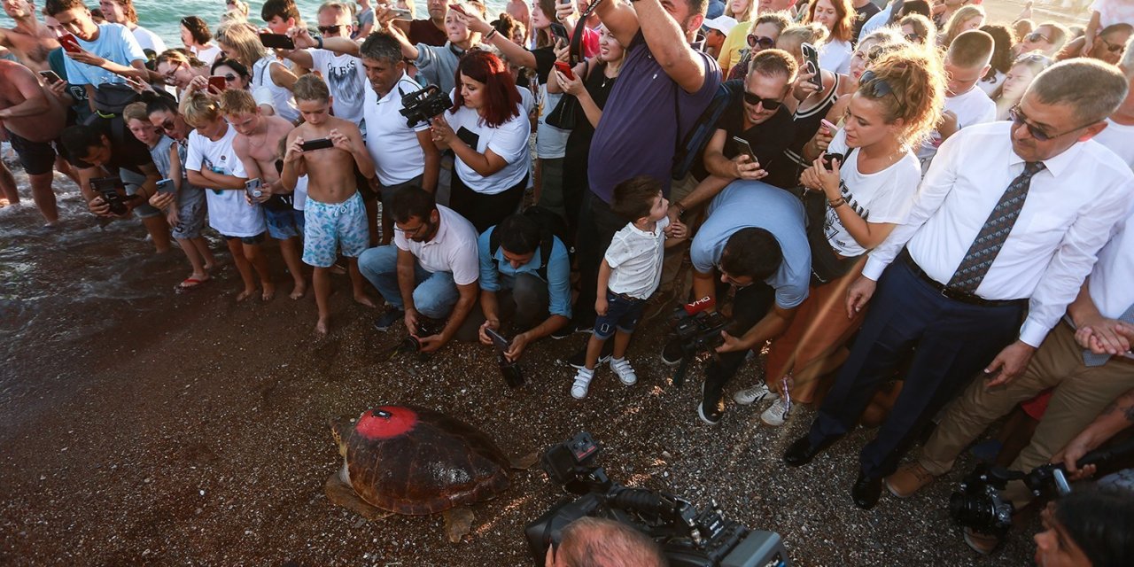 Yaralı kaplumbağaya Kıbrıs Harekatı anısına ‘Lara Barış’ ismi verildi