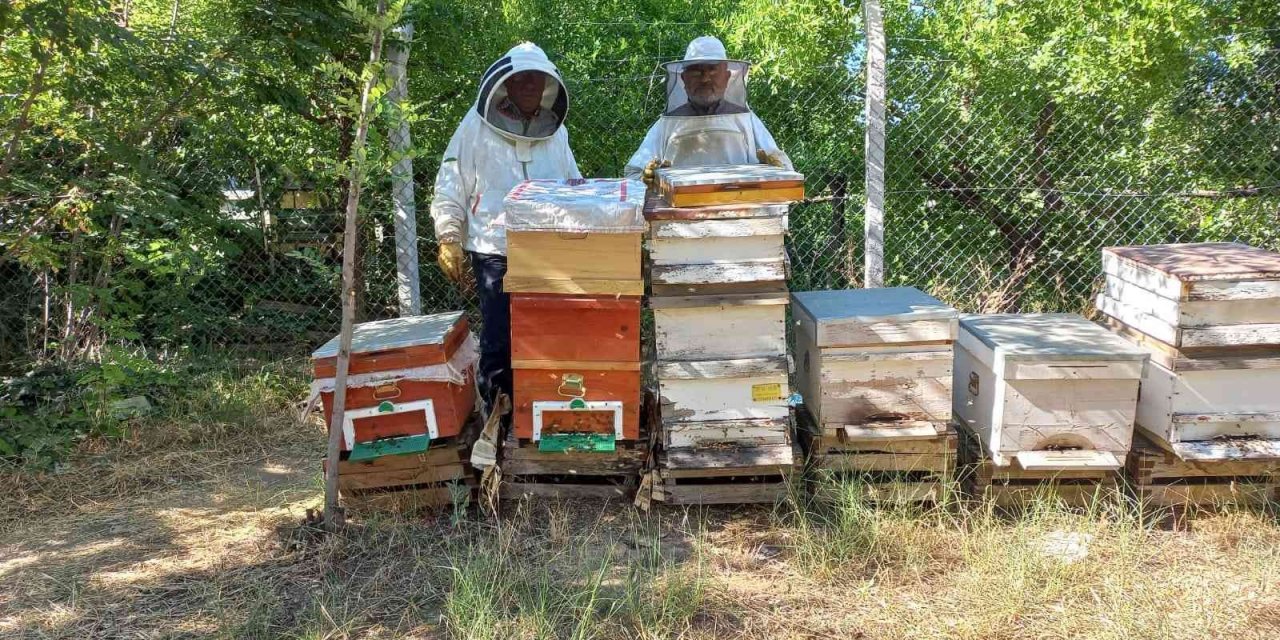 Havalar geç ısınınca arıların oğul dönemi Temmuz’a kaydı