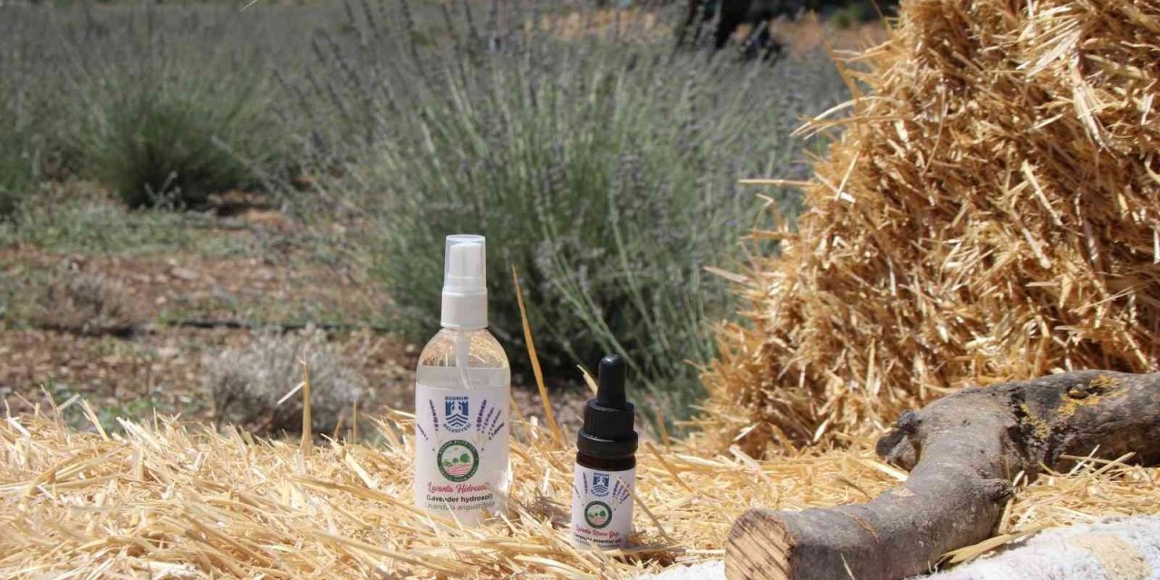 Bodrum Belediyesi, kendi yağını üretiyor