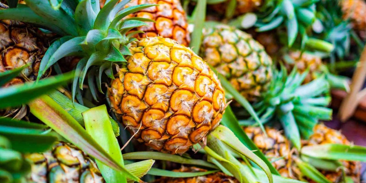 Tropikal meyve ihracatı 7 milyon dolara ulaştı