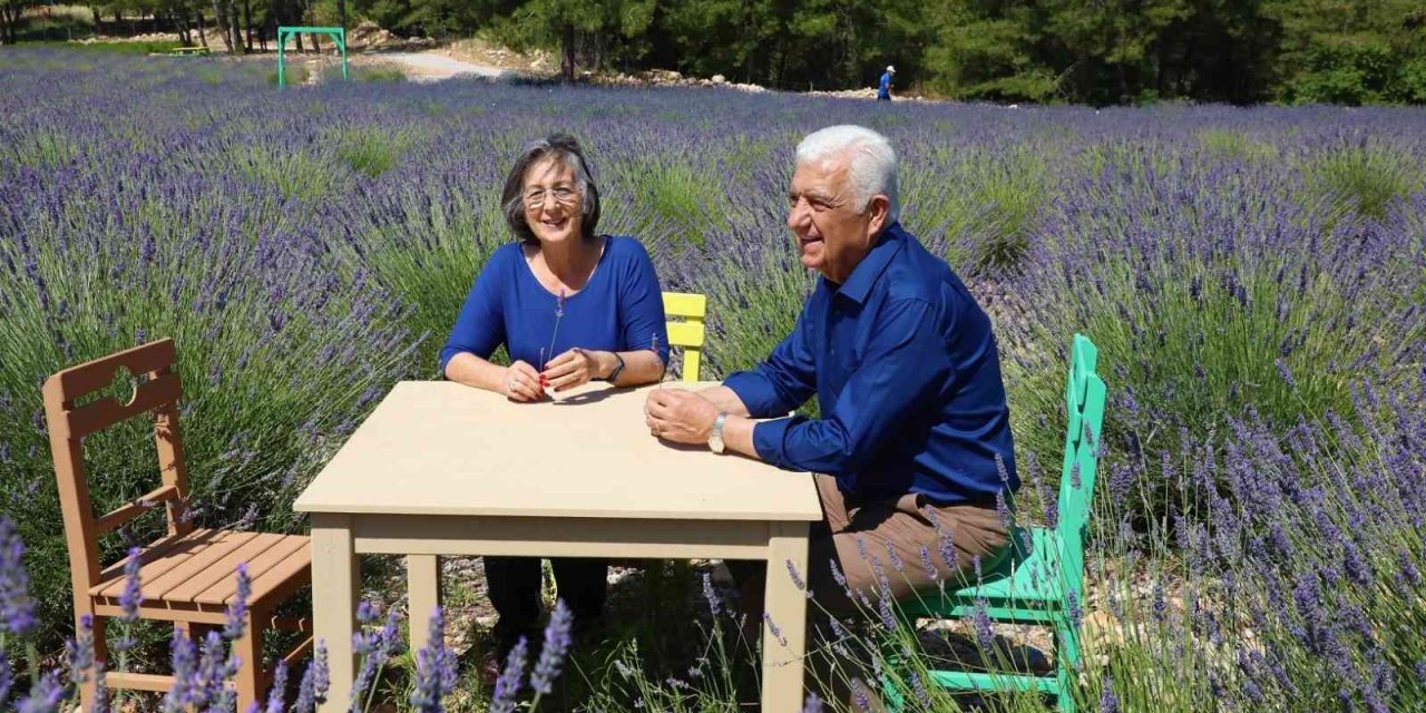 Lavanta Bahçesi 1 Ağustos’a kadar ziyaretçilerini ağırlayacak