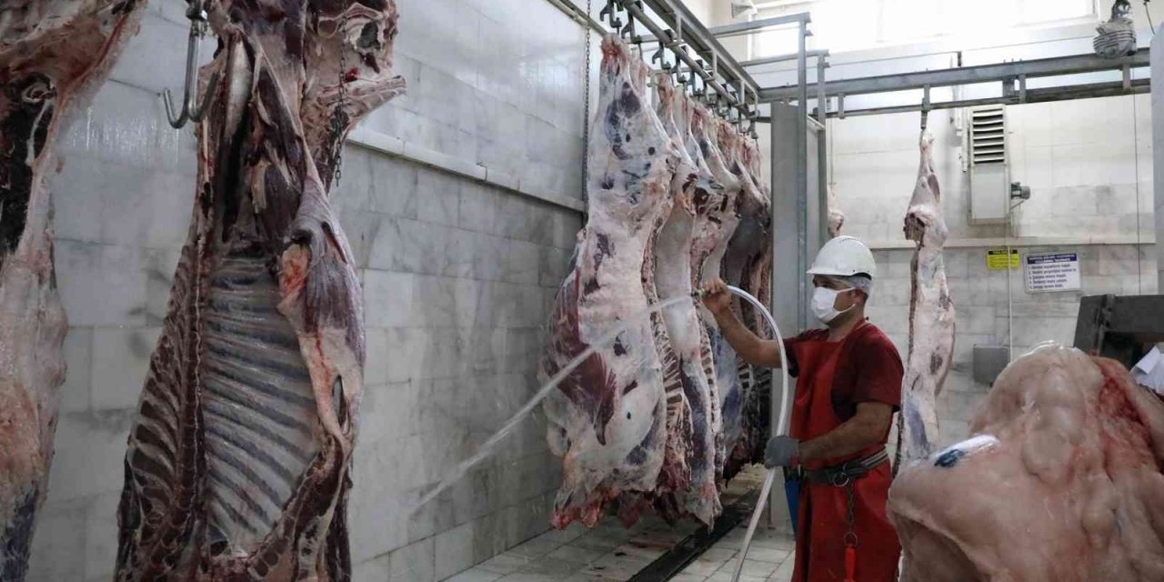 Büyükşehir mezbahalarında 31,6 milyon kilo kırmızı et üretildi