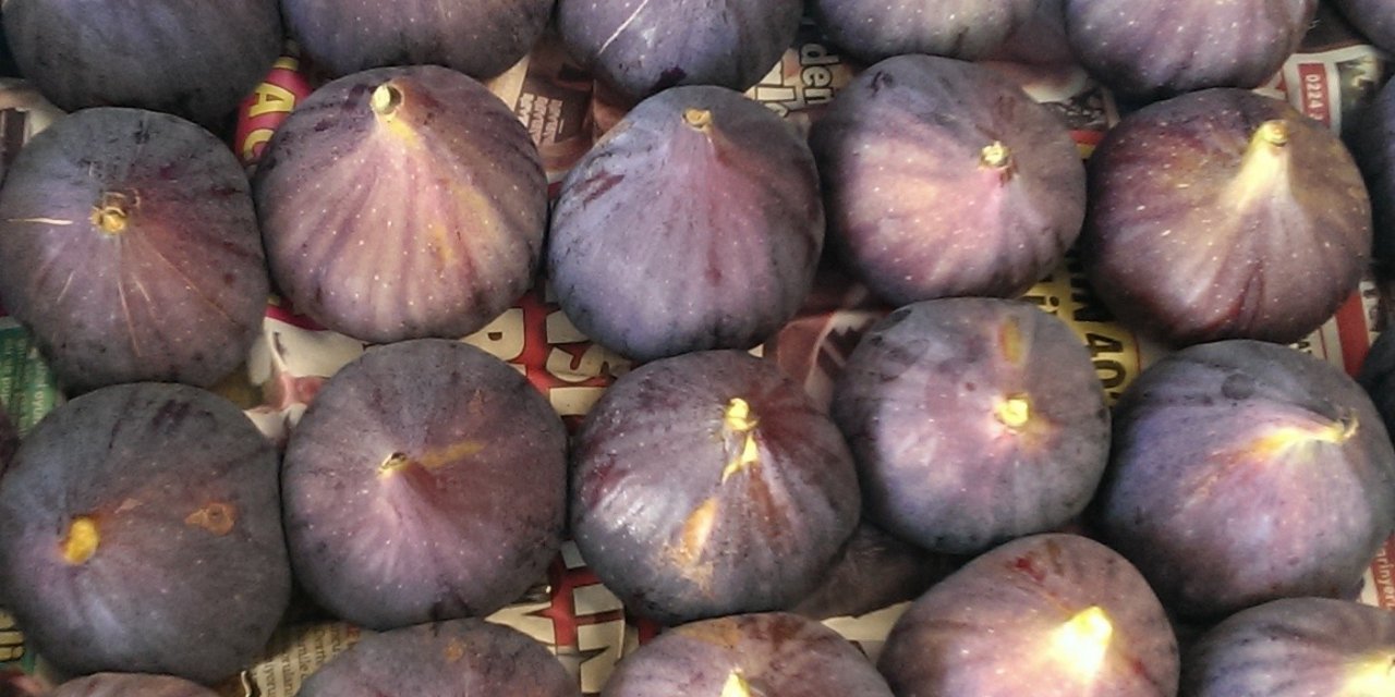 Taze incir ihracatında hedef 100 milyon dolar