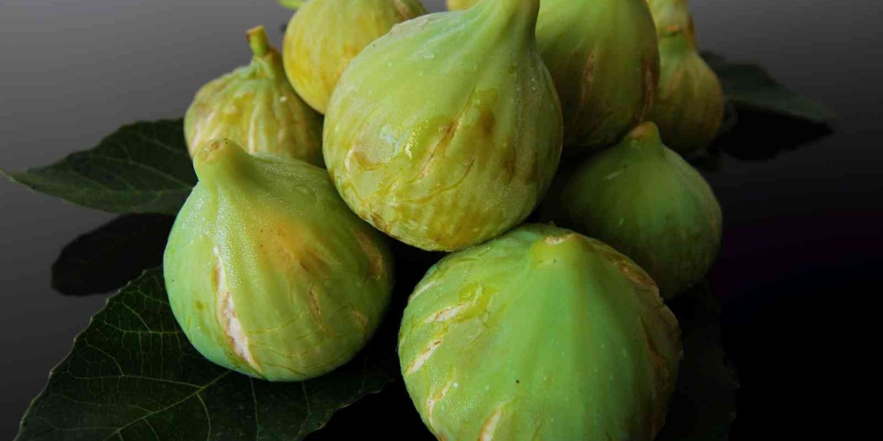 İncirde hasat ve ihracat tarihi belli oldu