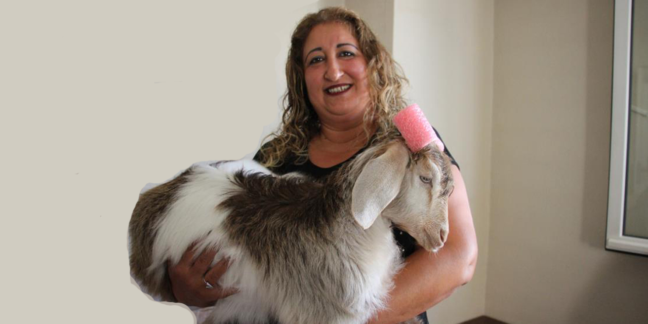 Çay tiryakisi Ninja’ya gözü gibi bakıyor