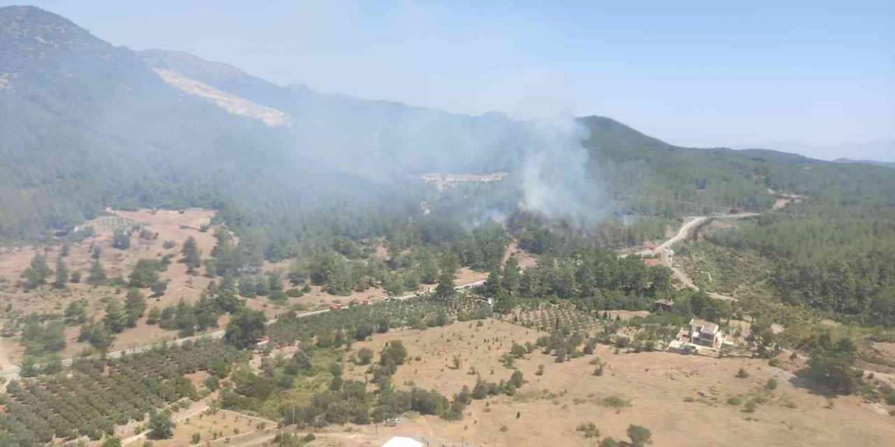 Seferihisar’da yangın