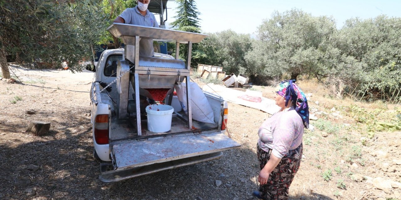 Selçuk’ta salça zamanı