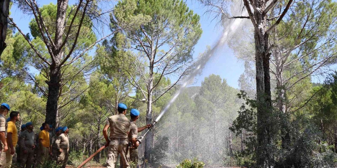 Jandarma ekipleri orman yangınlarına hazır