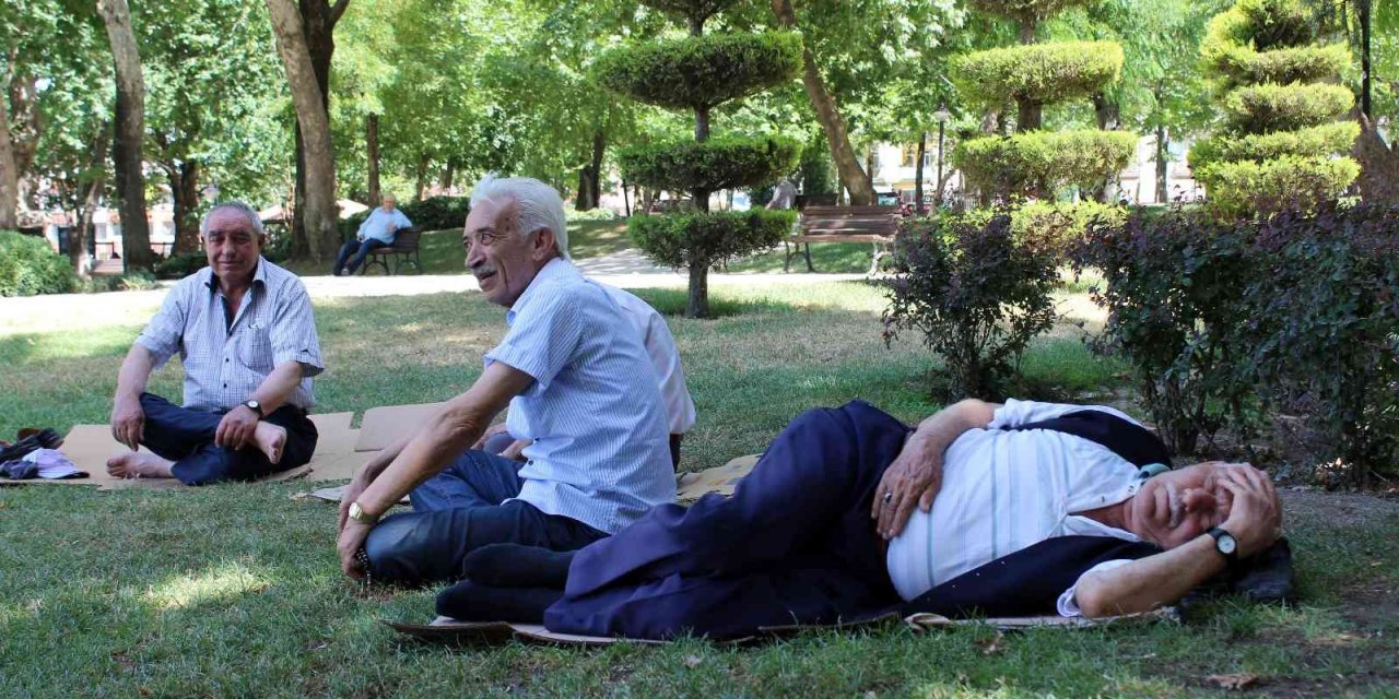 Kavurucu sıcaktan korunmak için gölgelere sığındılar