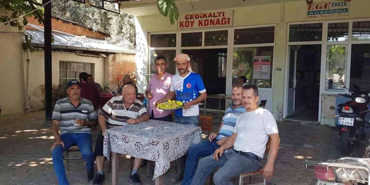 Aydın inciri kurutma sergilerinde yerini aldı