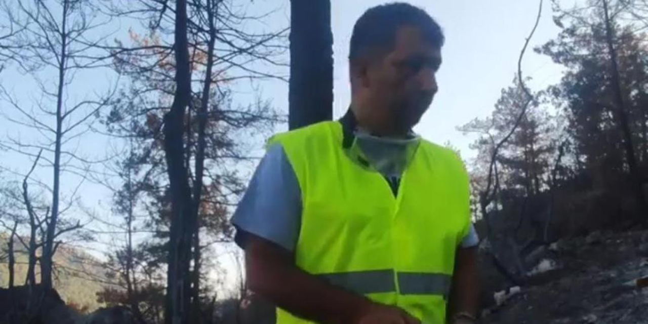 Marmaris ve Datça’da yangından etkilenen hayvanlara yem ve su desteği