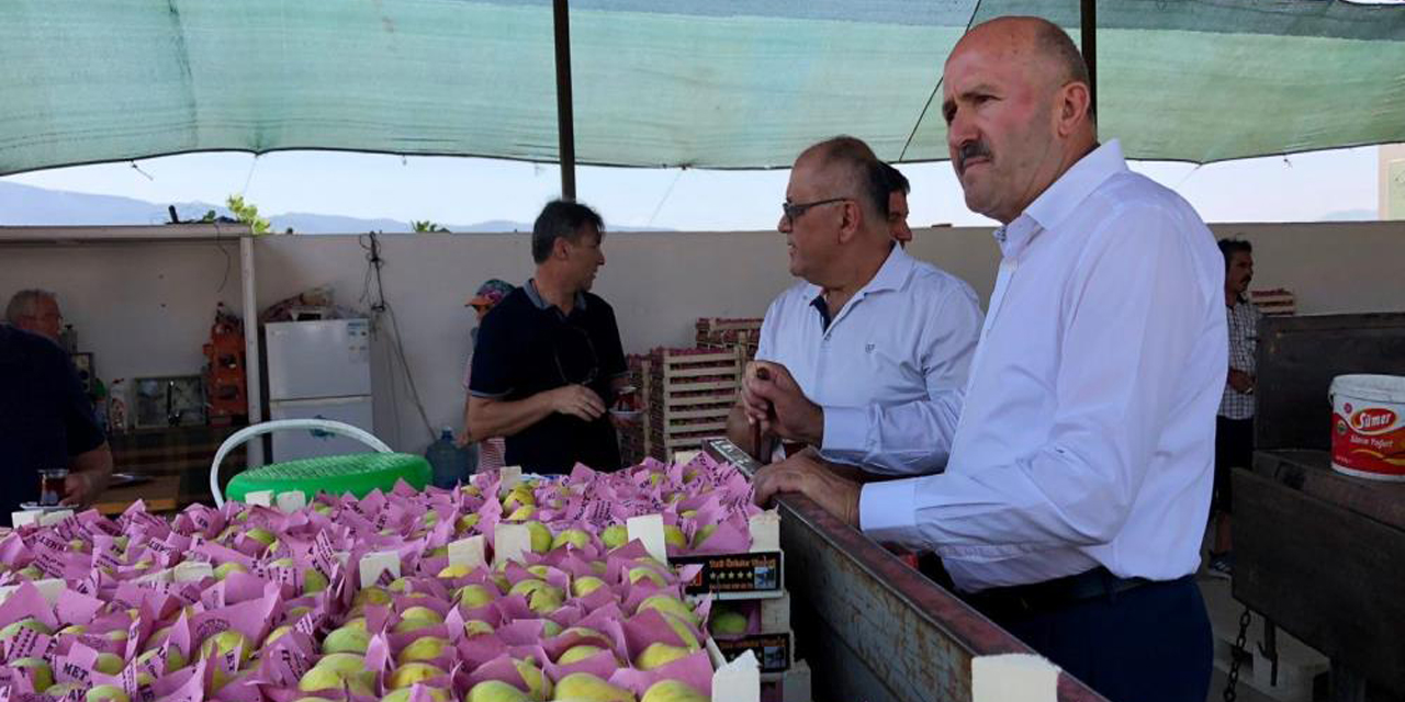 Başkan Ertürk: "En kaliteli incirin yetiştiği Kuyucak’ta sezon başladı"