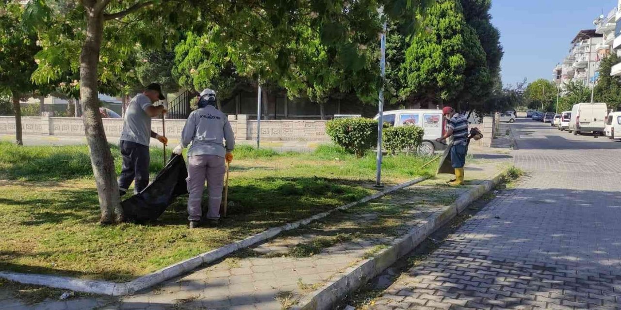 Söke Belediyesi Park İşleri Ekipleri çalışmalarında hız kesmiyor