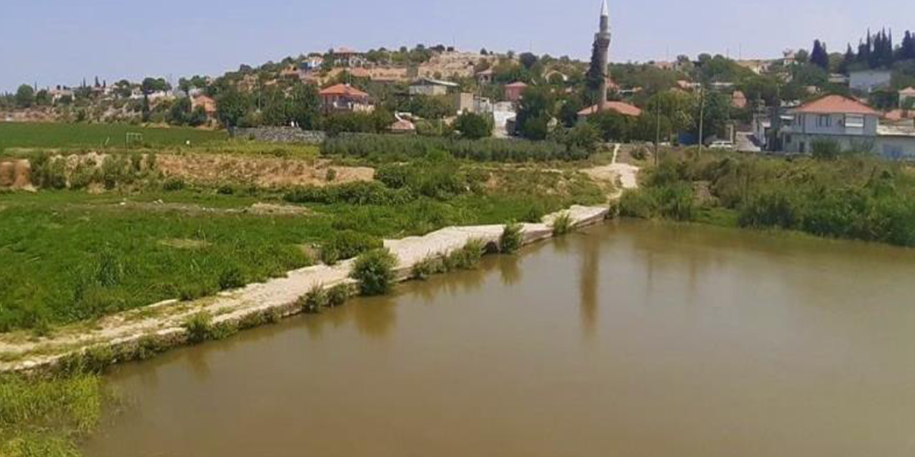 İnsanlığın ayıbını doğa örtüyor