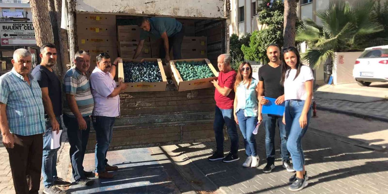 Muğlalı çiftçiler kışa hazırlanıyor