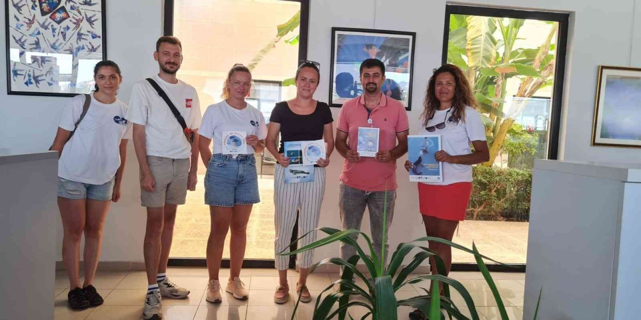 Datça’da Akdeniz foklarının korunması için çalışma başlatıldı