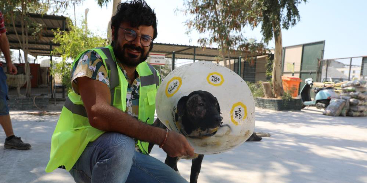 Yüz nakli yapılan ’Maylo’ yeni yuvasını arıyor