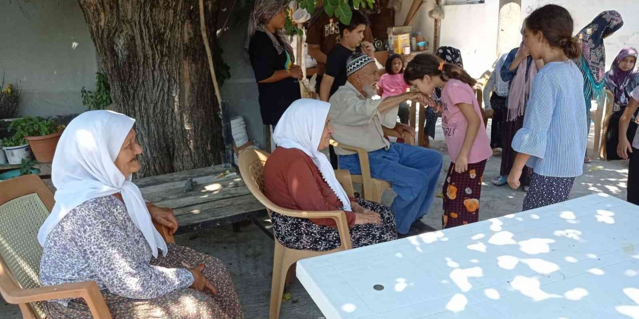Köyceğiz’de ulu çınarlara ziyaret, mutlu etti