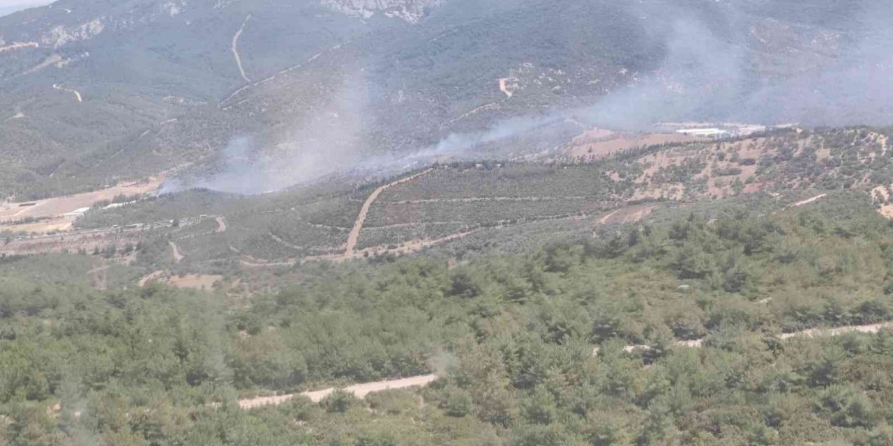 İzmir’deki orman yangını kontrol altında
