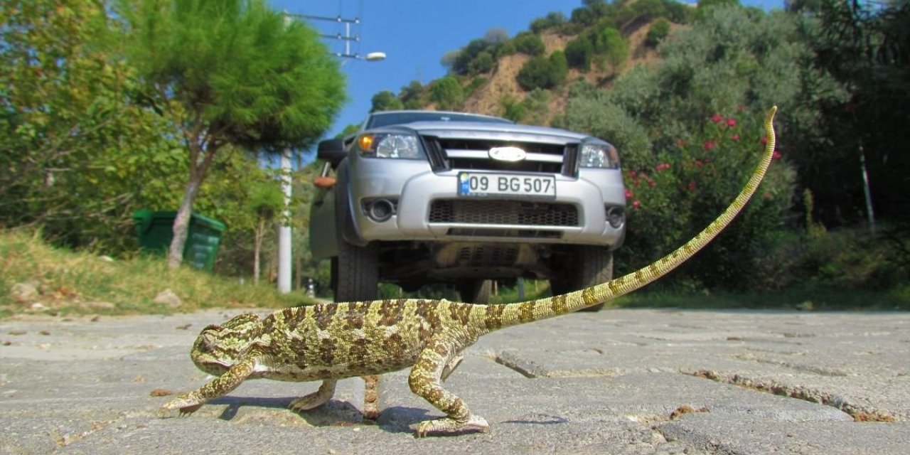 EKODOSD’tan sürücülere “duyarlılık” çağrısı