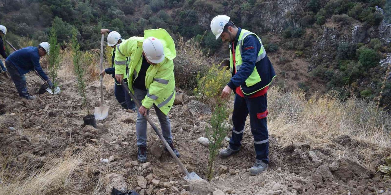 YK Enerji son 3 yılda 1 milyonu aşkın fidanı toprakla buluşturdu