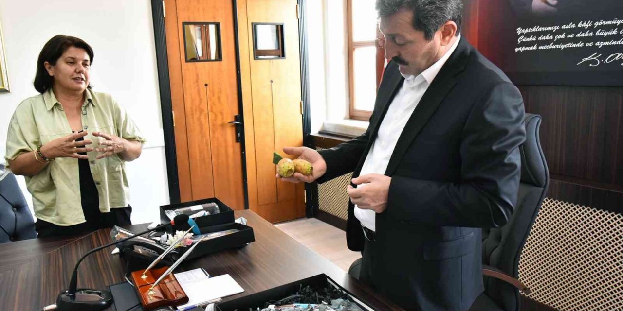 Ortaca’ya 1 Milyon liralık kadın girişimi projesi