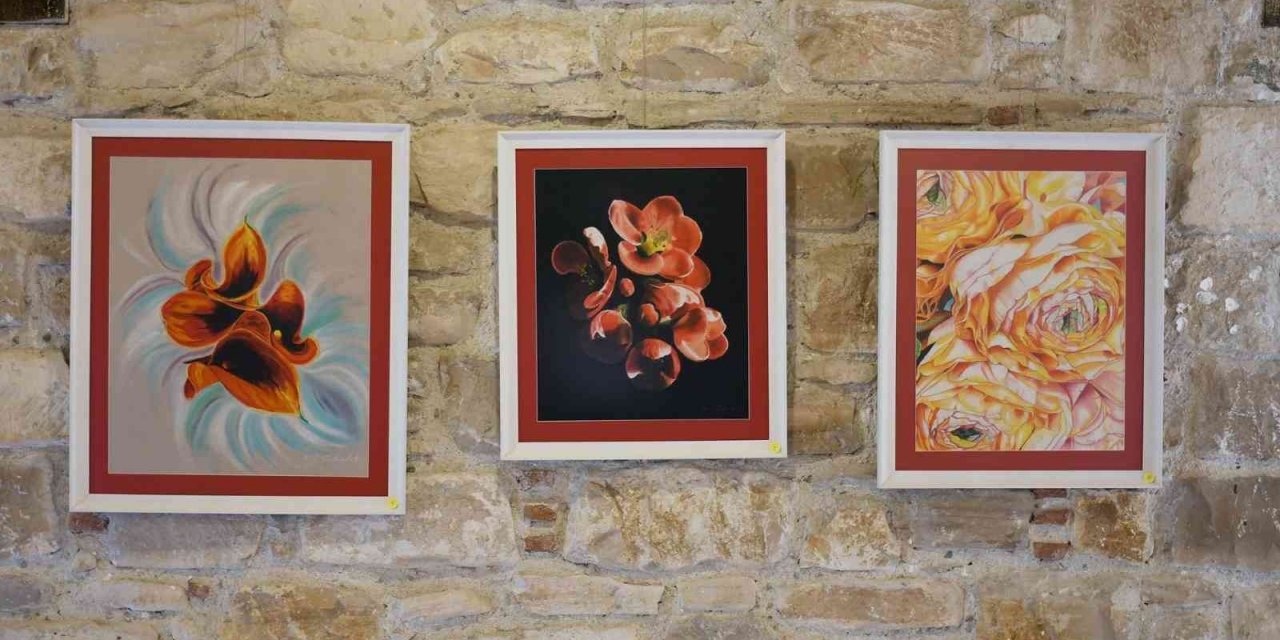 Doğadan Güzellikler isimli karma resim sergisi İbramaki Sanat Galerisi’nde açıldı