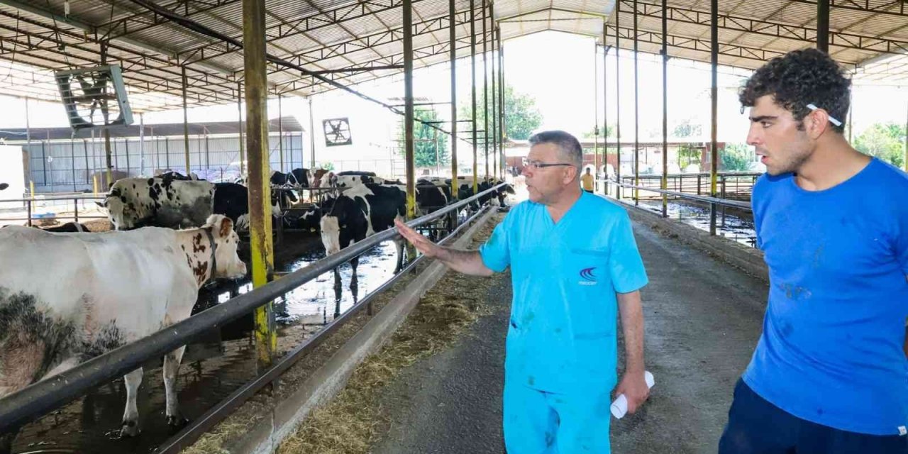 Başkan Güler, bir günlüğüne mesleğine geri dönüp hayvanlar için çalıştı