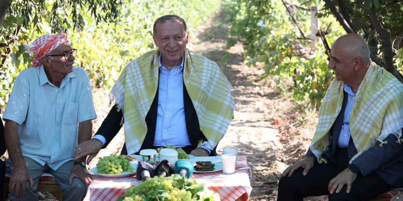 Cumhurbaşkanı Erdoğan üzüm hasadı yaptı