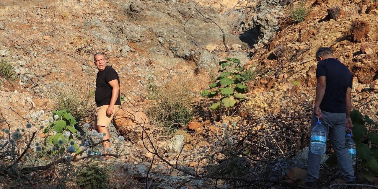 Diktikleri fidanları her gün kontrol edip suluyorlar