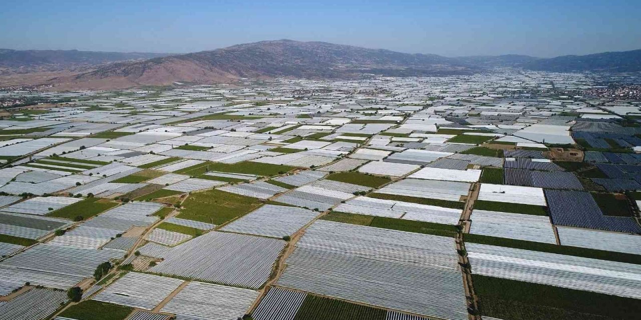 Sarıgöl Ovası beyaza büründü