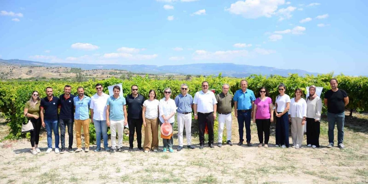 Salkım güvesiyle mücadele tarla gününde anlatıldı