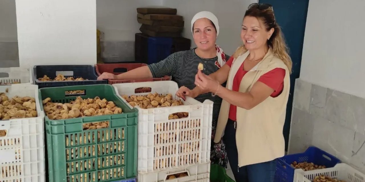 Efeler’de incir depoları denetimi başladı