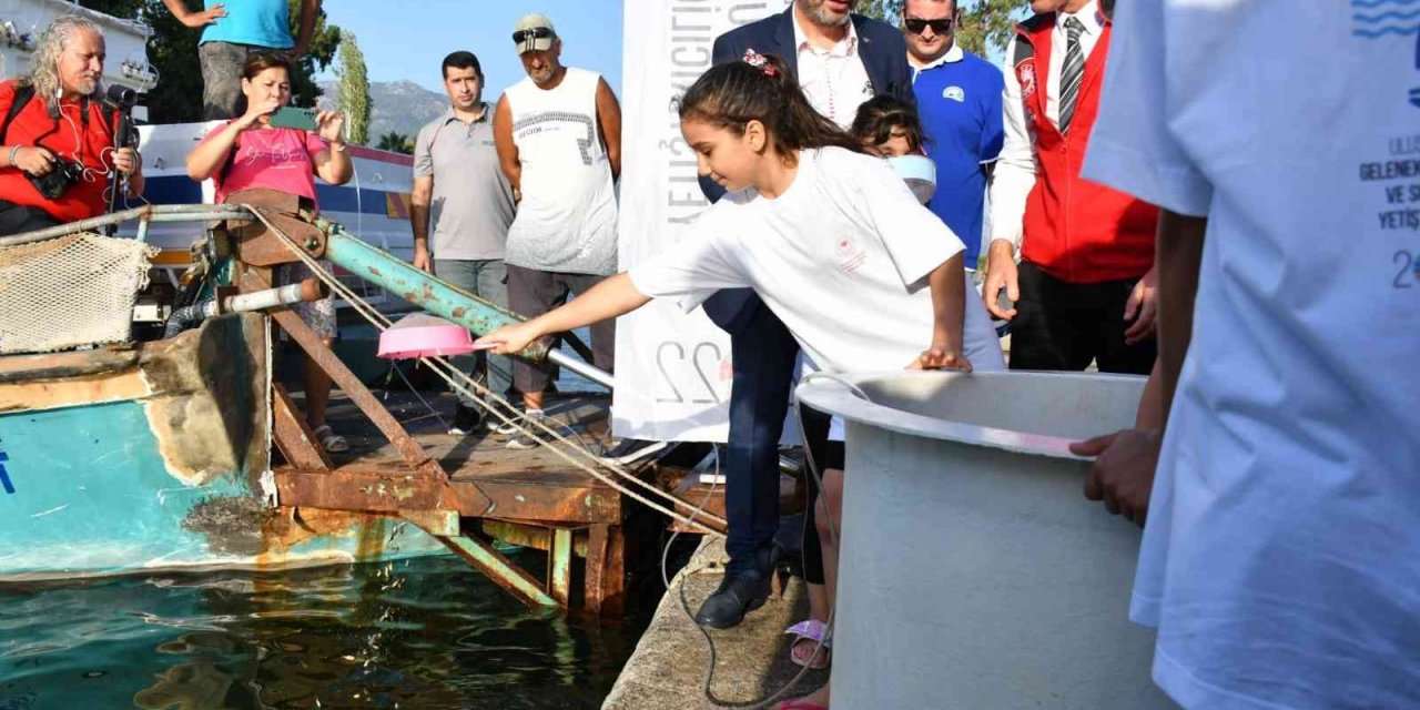 Köyceğiz Gölü’ne 260 bin sazan bırakıldı